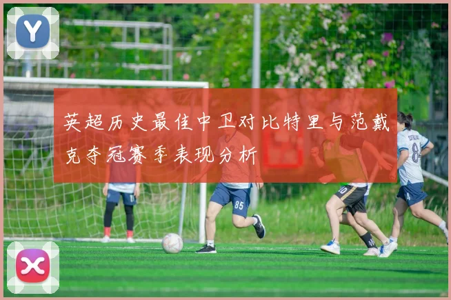 英超历史最佳中卫对比特里与范戴克夺冠赛季表现分析